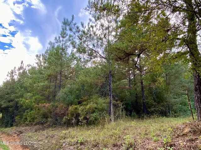 $19,000 | Liberty Road, Picayune, MS 39466