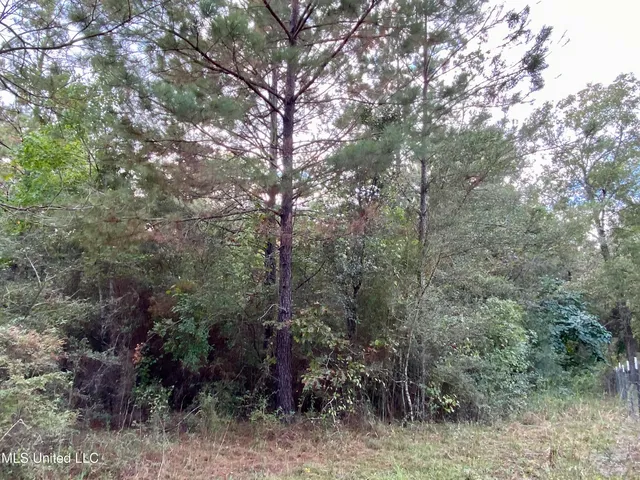 $19,000 | Liberty Road, Picayune, MS 39466