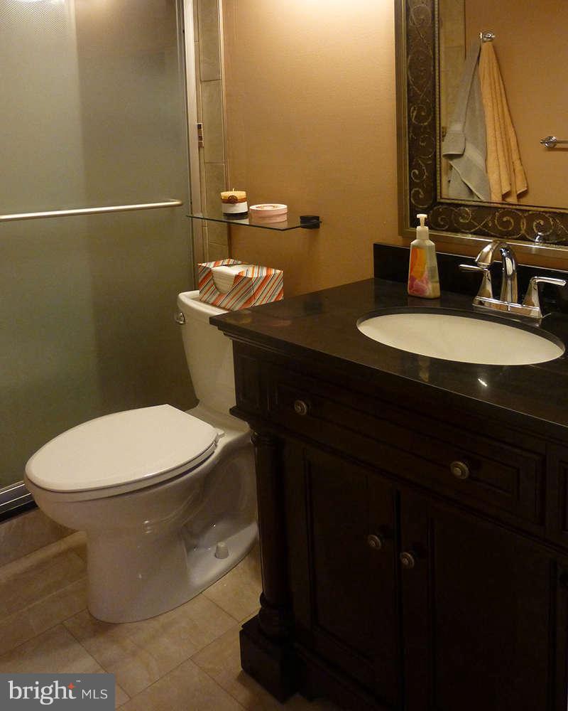 8455 Kitchener Drive Springfield, VA 22153 - Photo 14 of 23 Bath (Master)