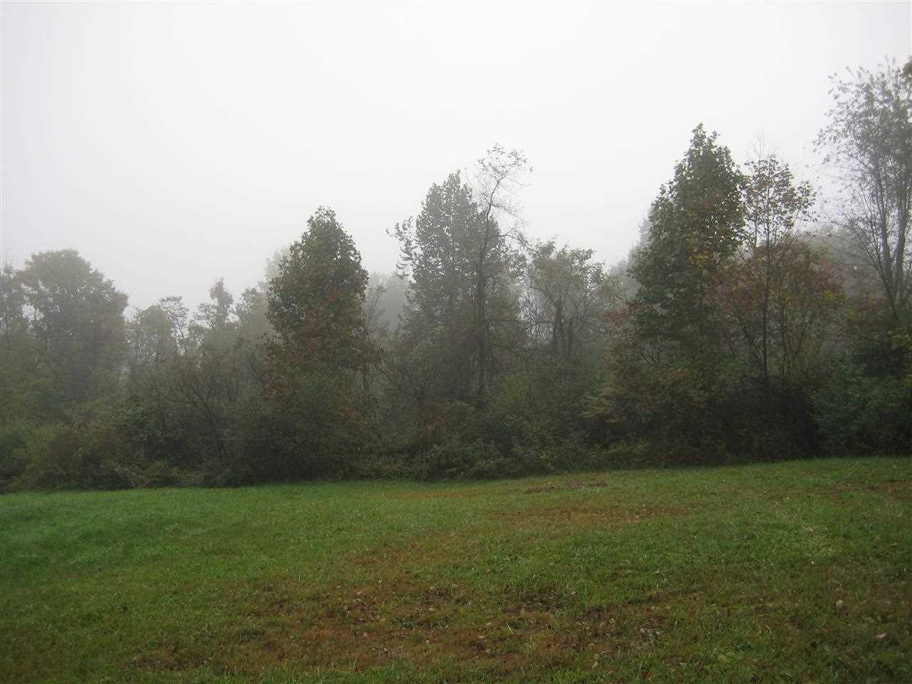 0 Bear Ridge Road Terra Alta, WV 26764 - Photo 4 of 6 Gallery Image 4