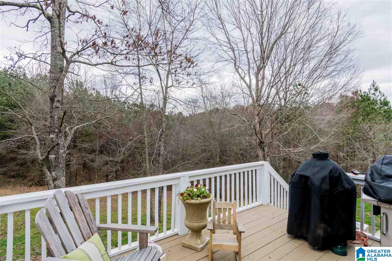 20536 Hephzibah Church Road McCalla, AL 35111 - Photo 20 of 29