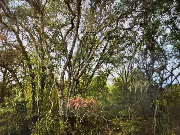 $25,650 | 0 Southeast 141st Avenue, Ocklawaha, FL 32179