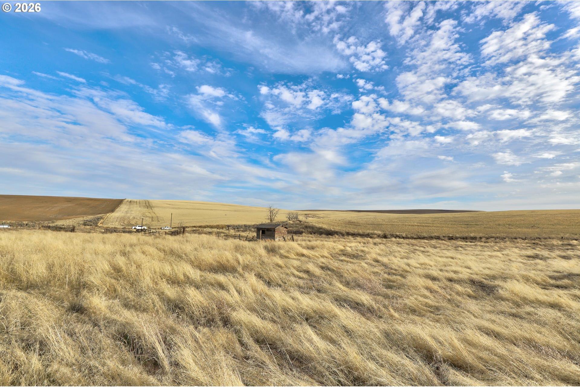62722 Hart Road Moro, OR 97039 - Photo 11 of 20 Gallery Image 11