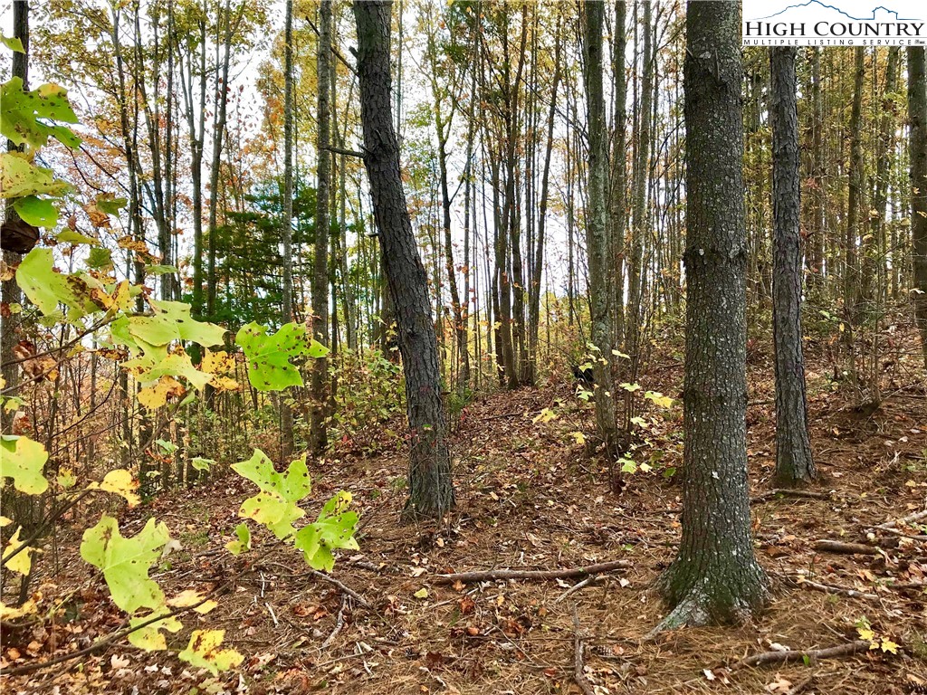 Lot 204 Johns Ridge Parkway Lenoir, NC 28645 - Photo 2 of 35