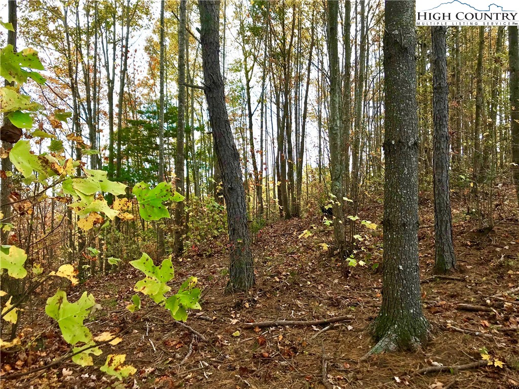 Lot 204 Johns Ridge Parkway Lenoir, NC 28645 - Photo 4 of 35