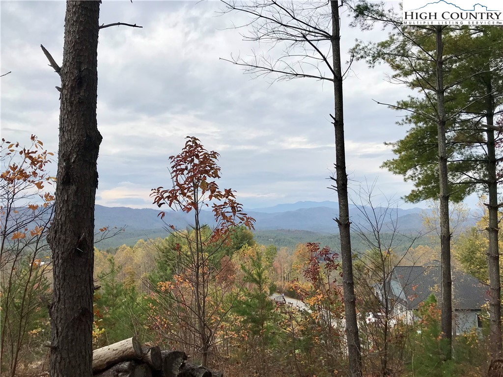 Lot 204 Johns Ridge Parkway Lenoir, NC 28645 - Photo 6 of 35 a view of a yard with an outdoor space