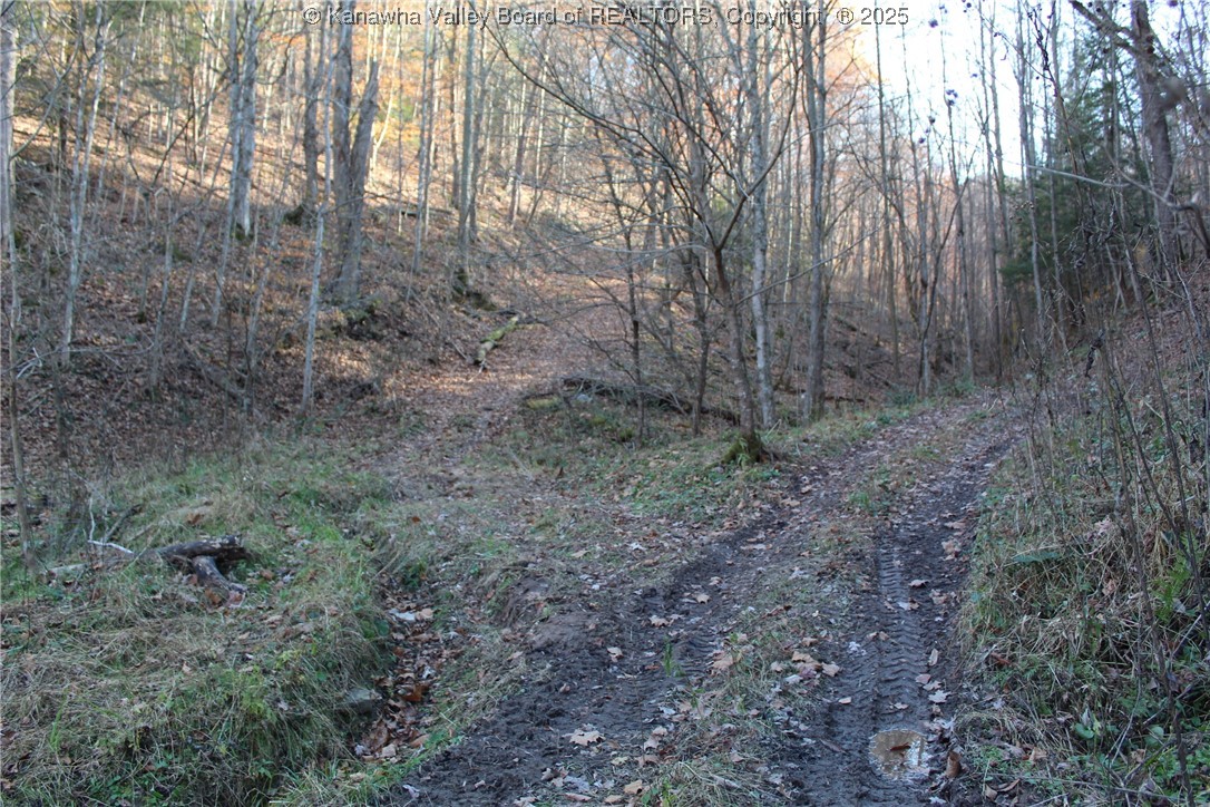 558 Sears Run Road Chloe, WV 25235 - Photo 27 of 29 Gallery Image 27