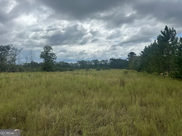 a view of river covered by trees and snow