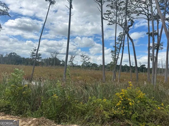 a view of lake with green space