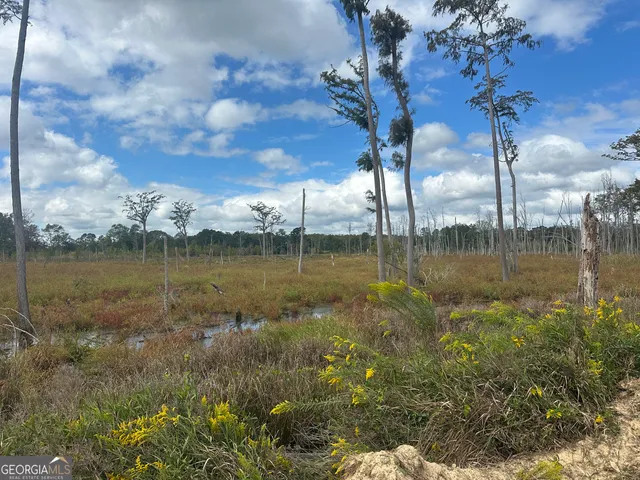 $284,400 | 0 South Fork Road, Sylvania, GA 30467