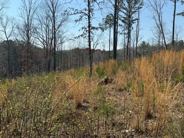 $99,900 | Lot 339 Timber Creek Trail, Talking Rock, GA 30175