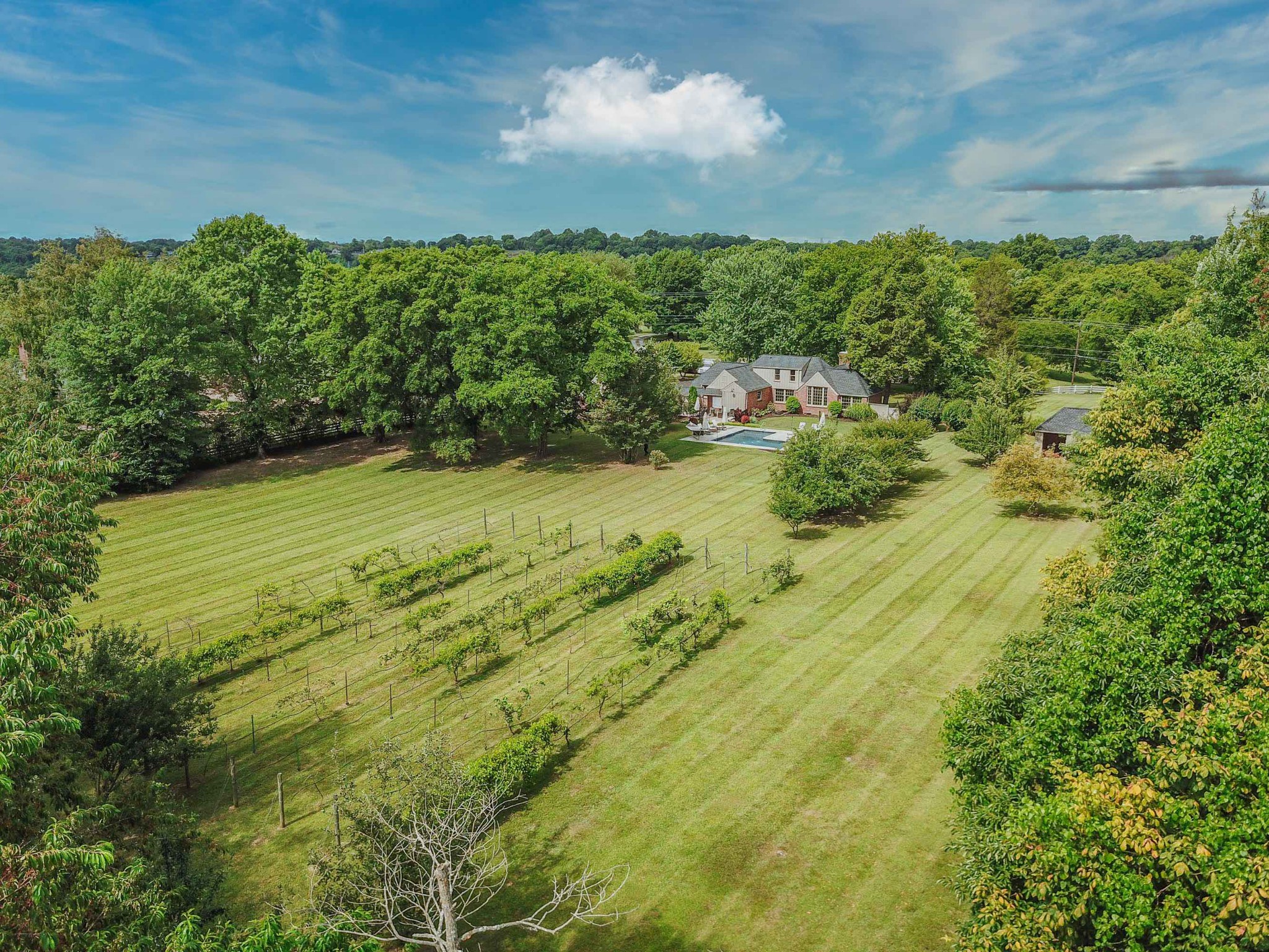 2027 Neelys Bend Road Madison, TN 37115 - Photo 19 of 48 Gallery Image 19