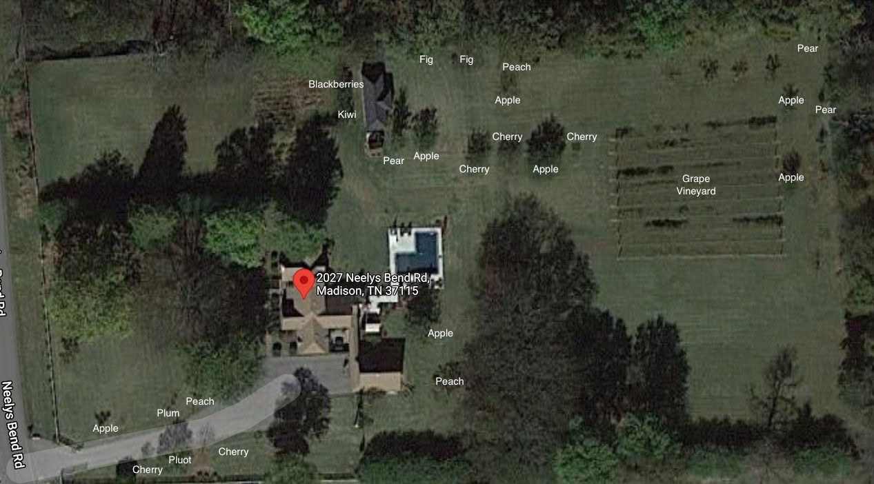 2027 Neelys Bend Road Madison, TN 37115 - Photo 23 of 48 Gallery Image 23