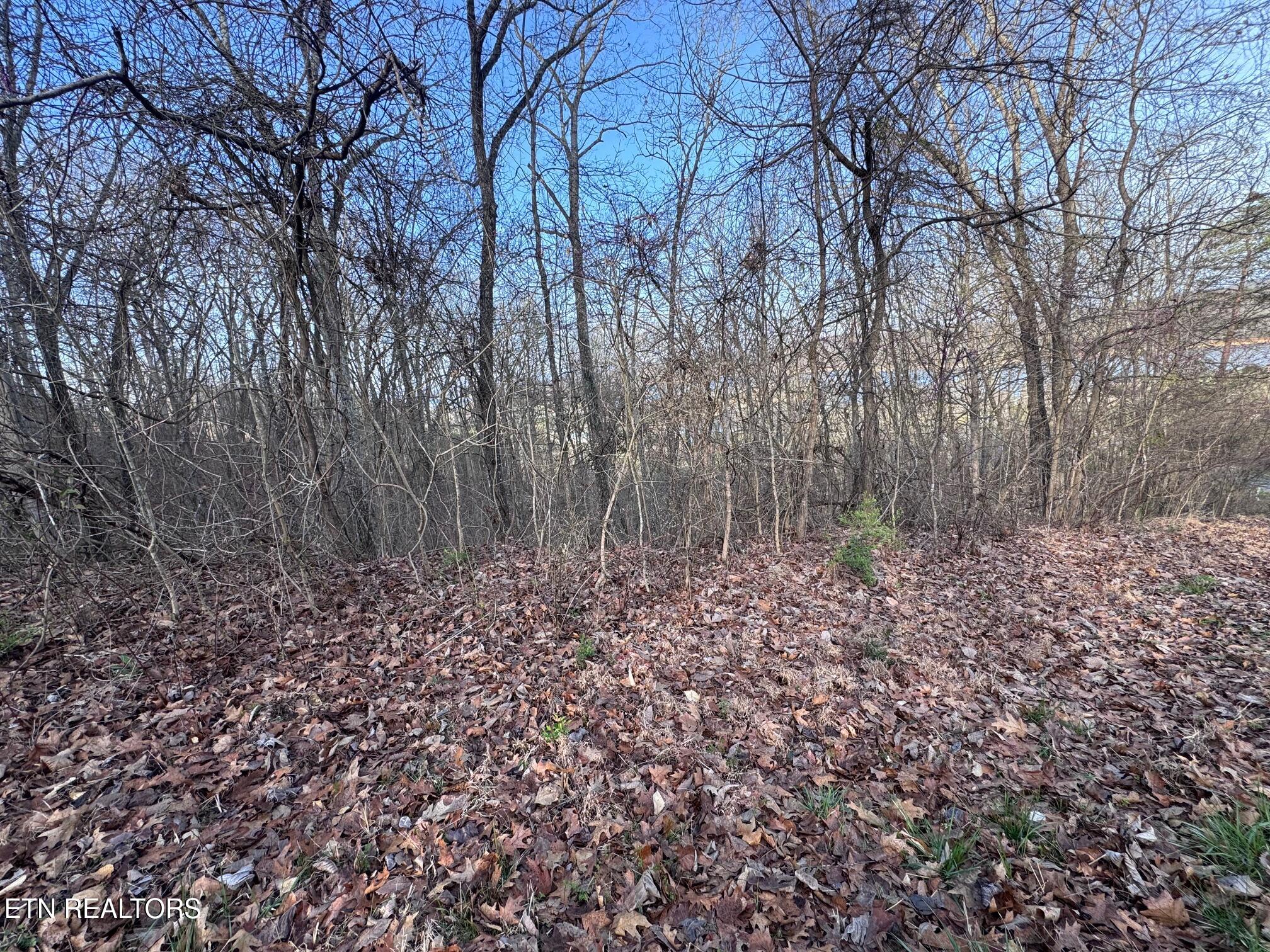 344 Larayne Hollow Road Sharps Chapel, TN 37866 - Photo 2 of 8 IMG_0567