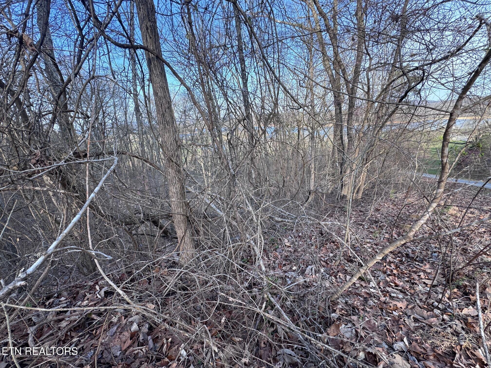 344 Larayne Hollow Road Sharps Chapel, TN 37866 - Photo 3 of 8 IMG_0569