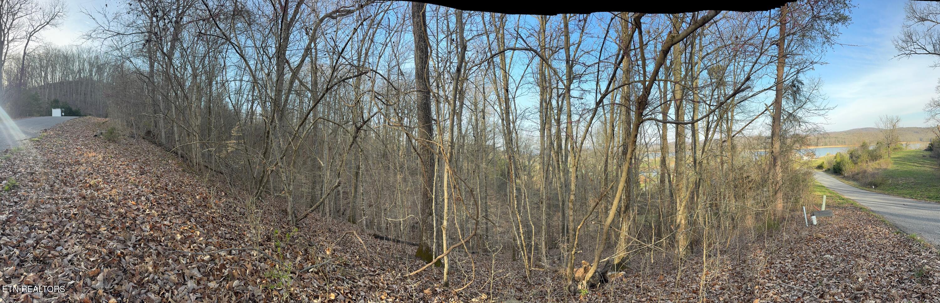 344 Larayne Hollow Road Sharps Chapel, TN 37866 - Photo 7 of 8 IMG_0576