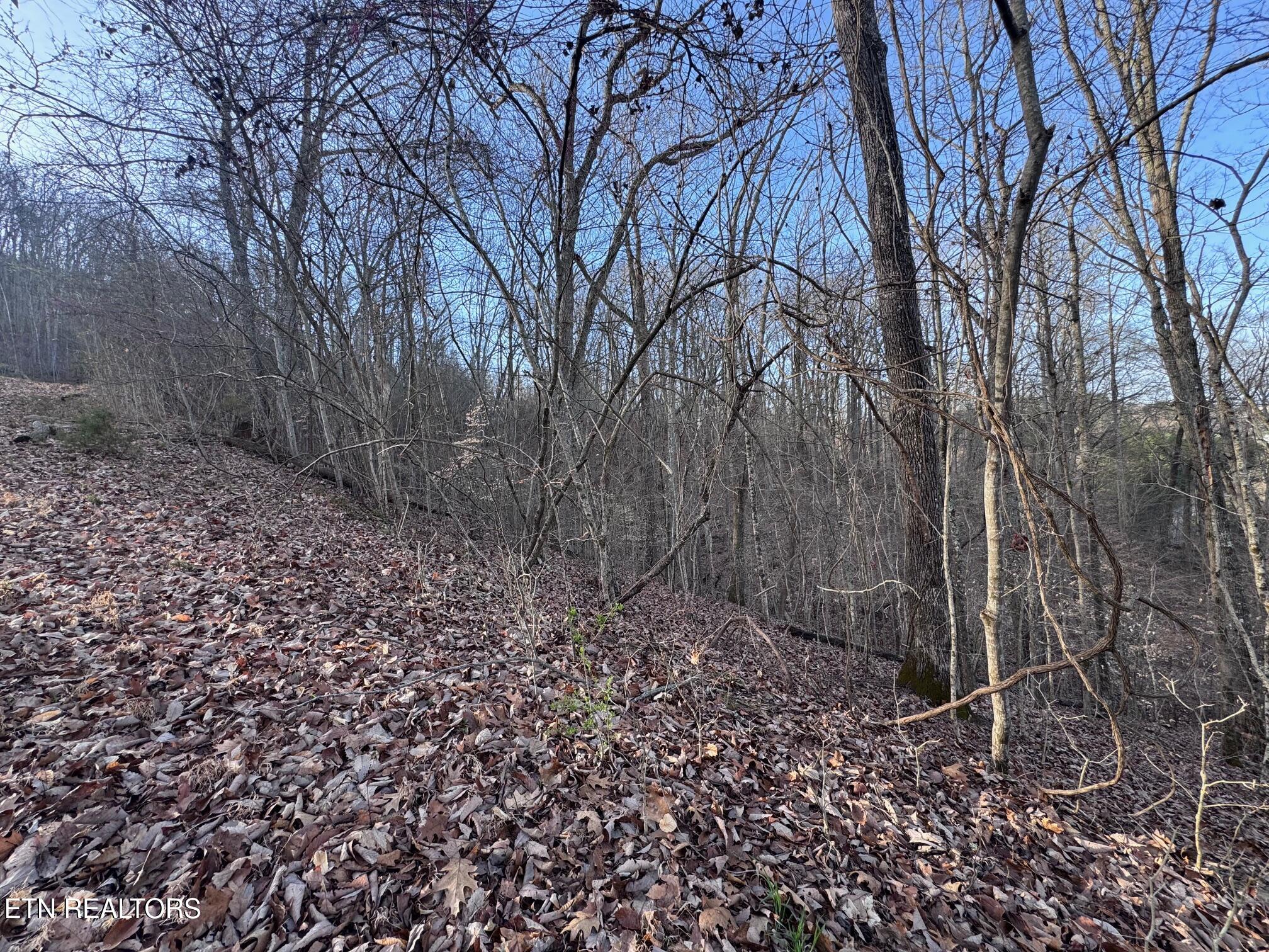 344 Larayne Hollow Road Sharps Chapel, TN 37866 - Photo 8 of 8 IMG_0578