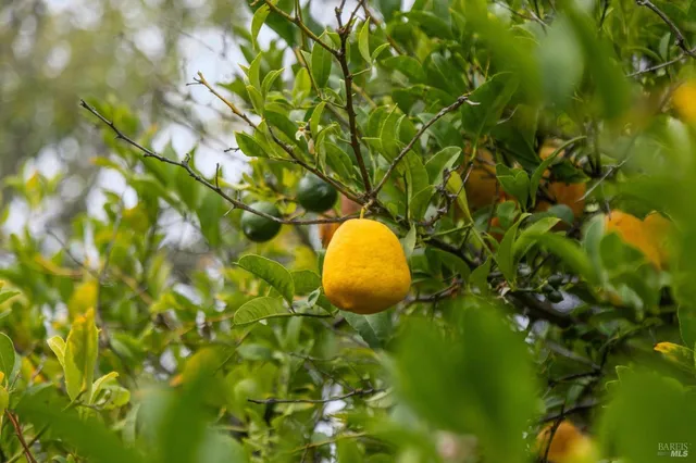 $1,549,000 | 64 Parkview Circle, Corte Madera, CA 94925