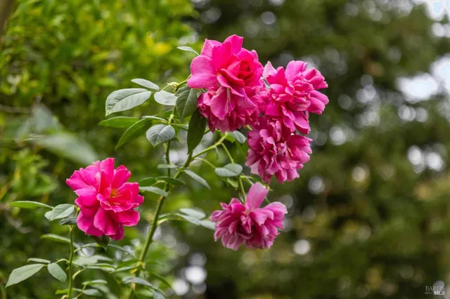 $1,549,000 | 64 Parkview Circle, Corte Madera, CA 94925