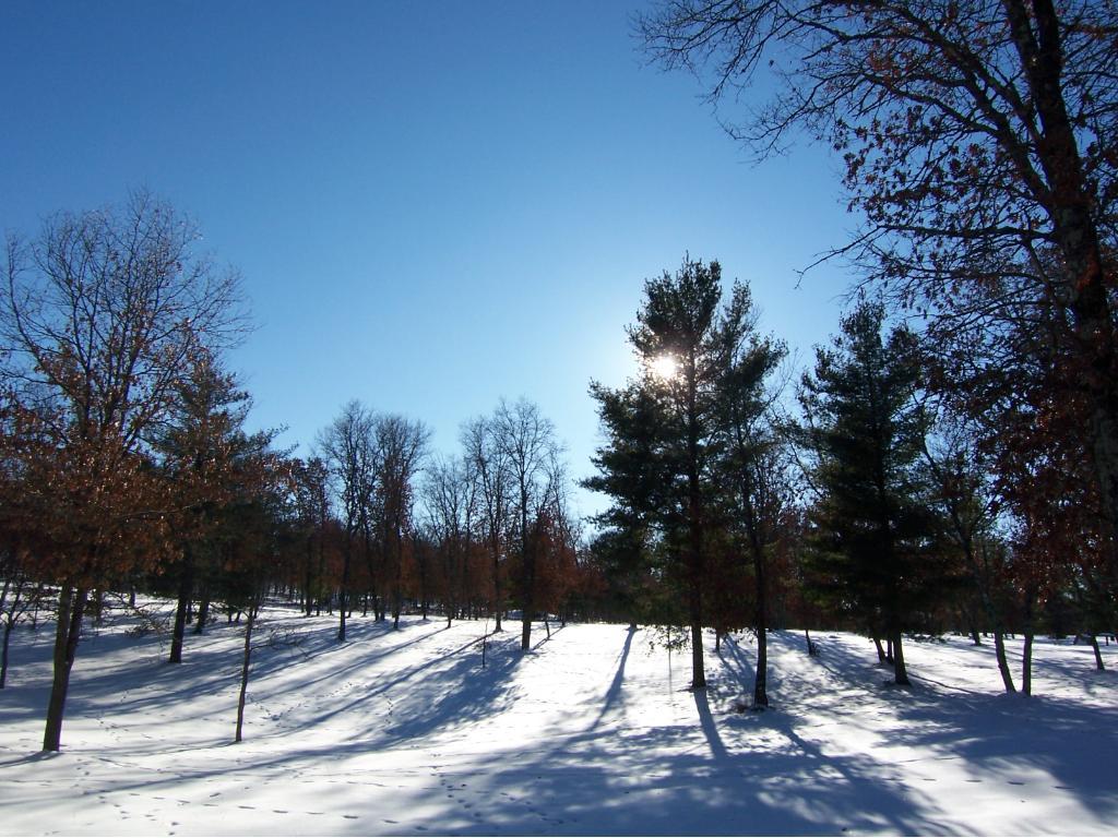 Lot 5 Minerva Road Danbury, WI 54830 - Photo 1 of 1 Gallery Image 1