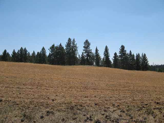 0 East Valley Springs Road Spokane, WA 99217 - Photo 1 of 2