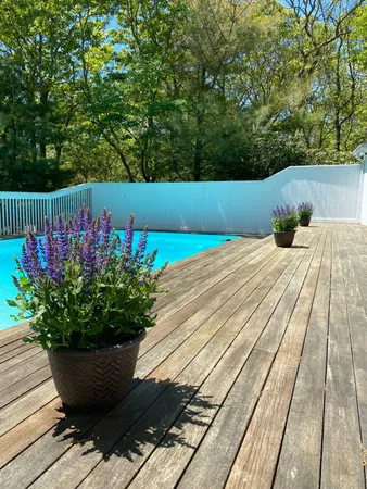 a view of a backyard