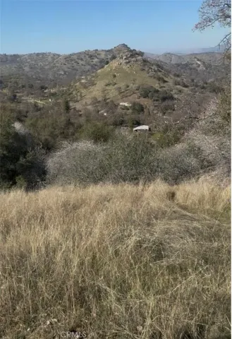 a view of a dry yard
