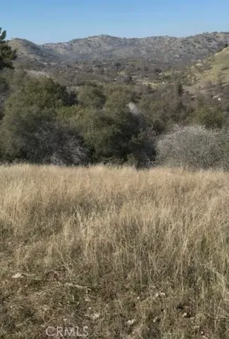 a view of a dry yard