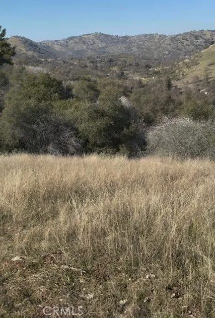 0 Chuckwagon Road Squaw Valley, CA 93675 - Photo 2 of 4 a view of a dry yard