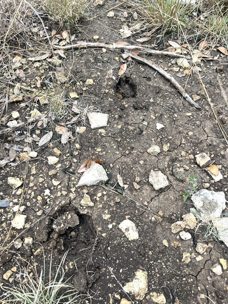 1029 Fairview Road Rocksprings, TX 78880 - Photo 14 of 44 a view of outdoor space
