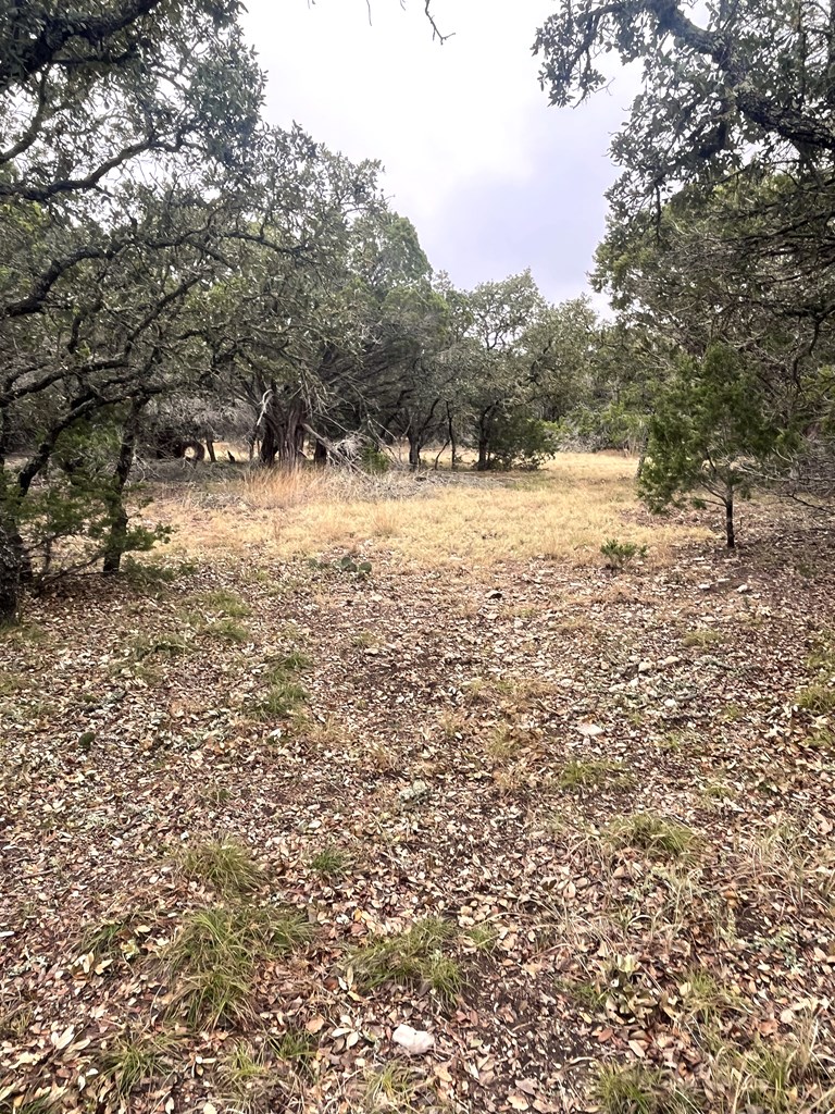 1029 Fairview Road Rocksprings, TX 78880 - Photo 22 of 44 a view of snow covered with fog