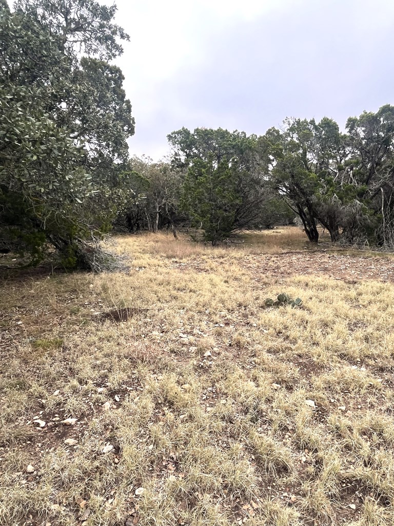 1029 Fairview Road Rocksprings, TX 78880 - Photo 25 of 44