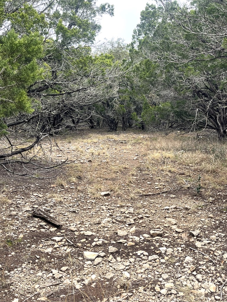 1029 Fairview Road Rocksprings, TX 78880 - Photo 27 of 44 a view of a lake view