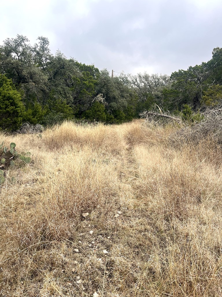 1029 Fairview Road Rocksprings, TX 78880 - Photo 30 of 44 a view of lake with green space