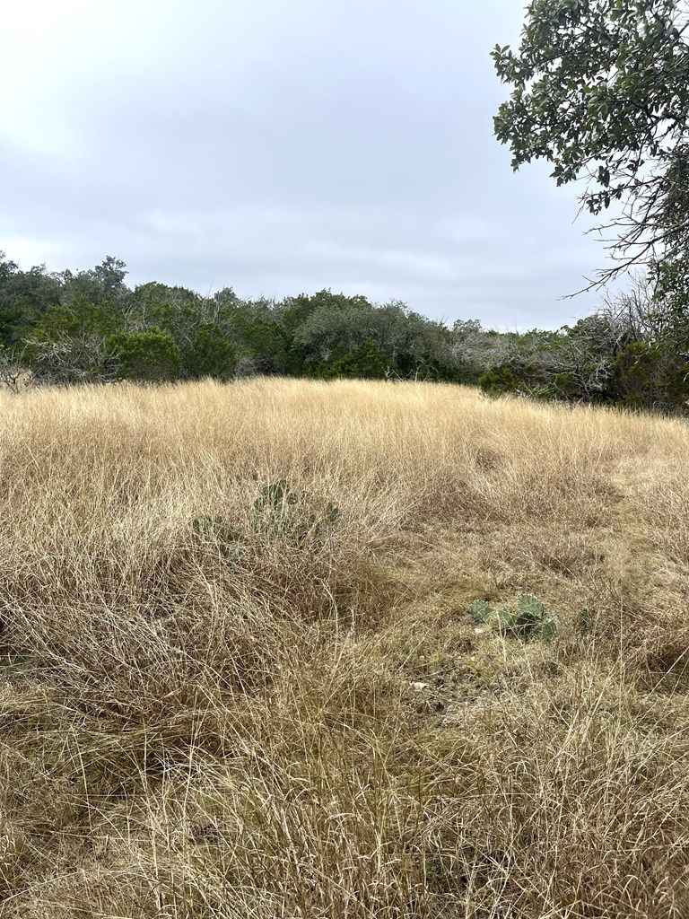 1029 Fairview Road Rocksprings, TX 78880 - Photo 34 of 44