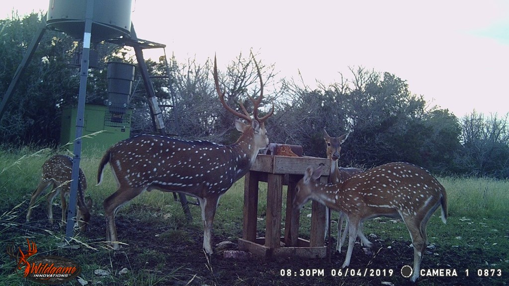 1029 Fairview Road Rocksprings, TX 78880 - Photo 40 of 44 a view of a dinning table and chairs in patio