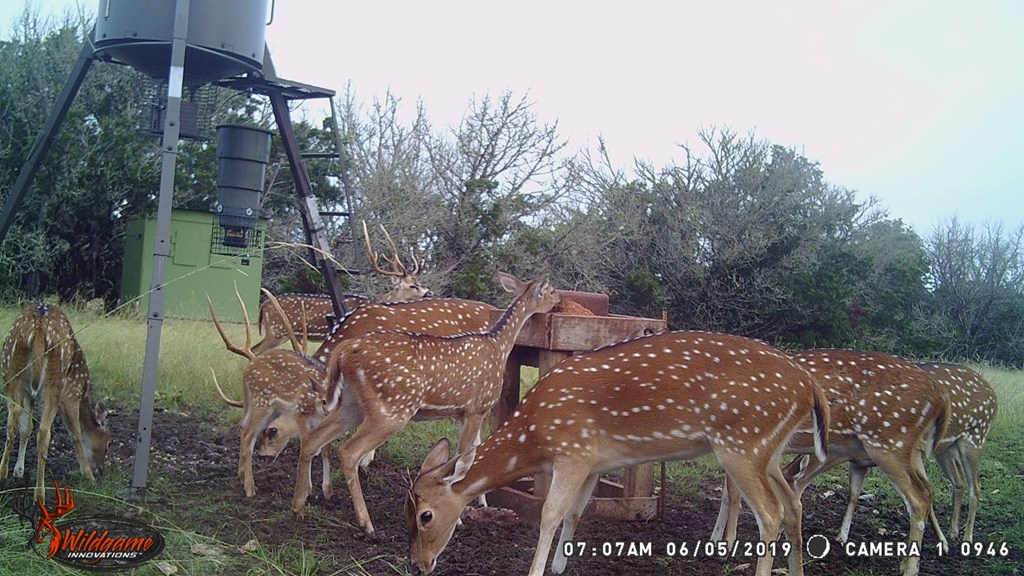 1029 Fairview Road Rocksprings, TX 78880 - Photo 41 of 44 a view of an outdoor space