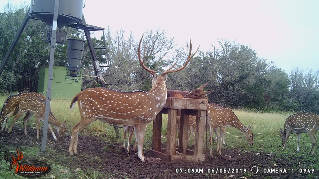 1029 Fairview Road Rocksprings, TX 78880 - Photo 42 of 44 a view of a chairs and table in the deck