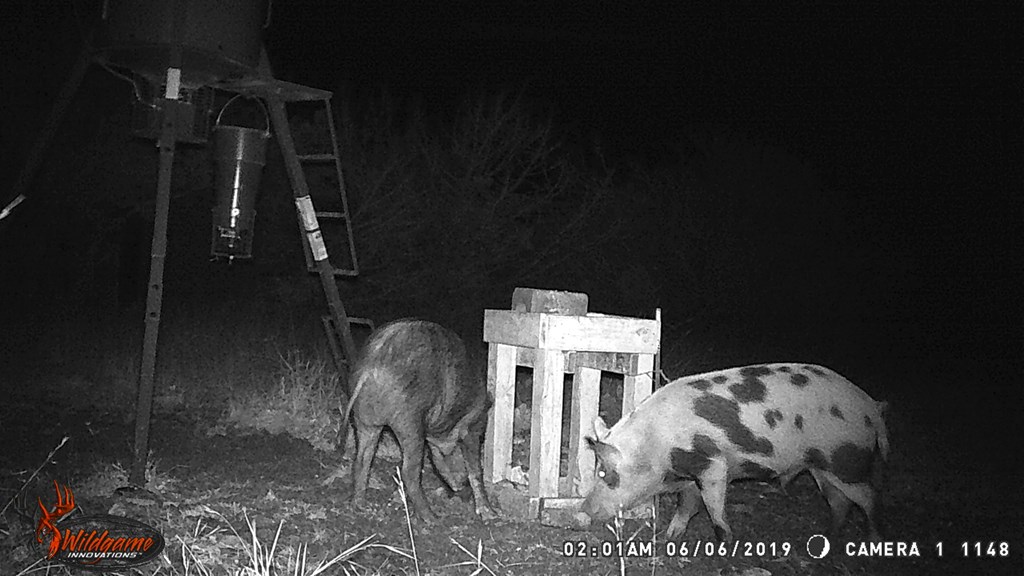 1029 Fairview Road Rocksprings, TX 78880 - Photo 43 of 44 a workspace with furniture