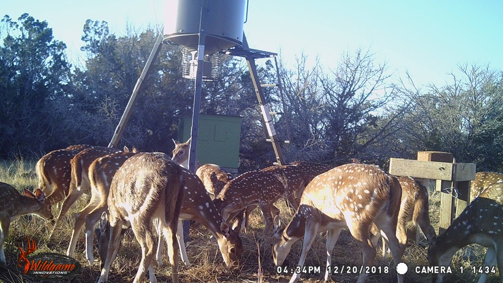 1029 Fairview Road Rocksprings, TX 78880 - Photo 44 of 44