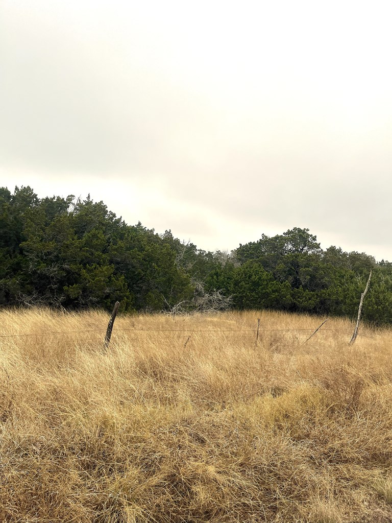 1029 Fairview Road Rocksprings, TX 78880 - Photo 7 of 44 a view of an ocean