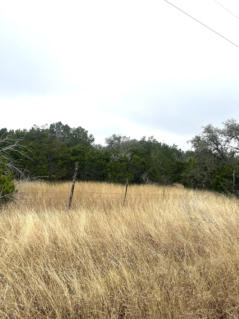 1029 Fairview Road Rocksprings, TX 78880 - Photo 8 of 44