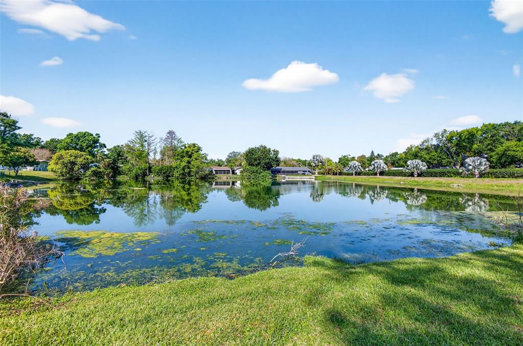1520 South Keene Road Clearwater, FL 33756 - Photo 44 of 60 a view of a lake with houses in the back
