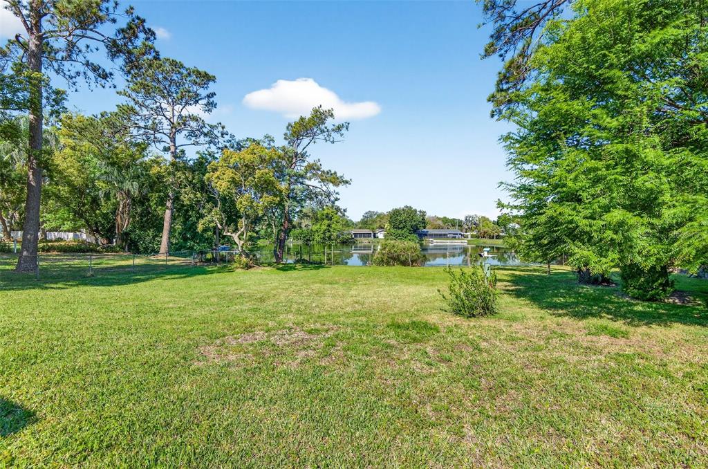 1520 South Keene Road Clearwater, FL 33756 - Photo 49 of 60 a view of a garden with a tree