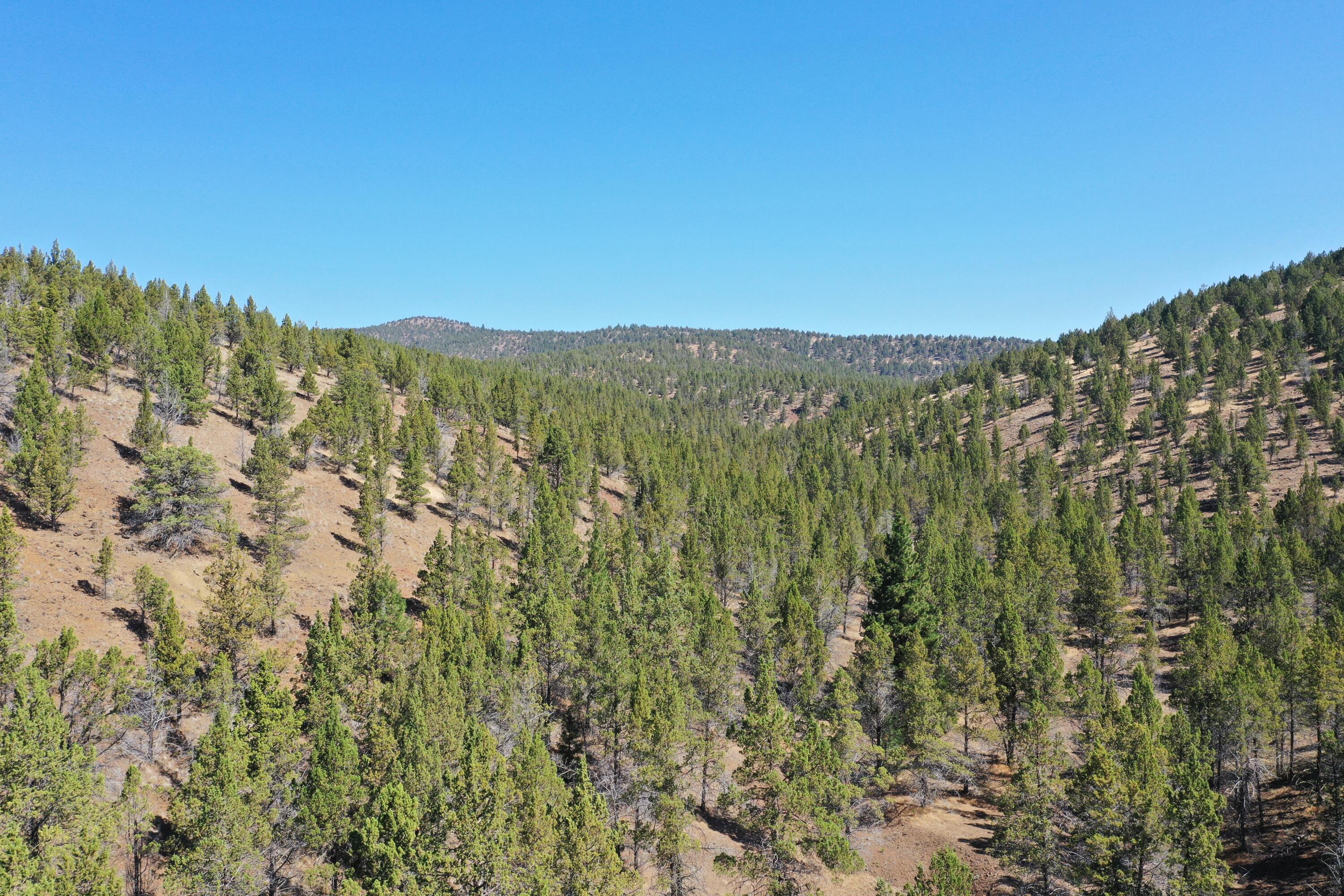 2400 Wiley Creek Road Mount Vernon, OR 97865 - Photo 24 of 34 DJI_0387