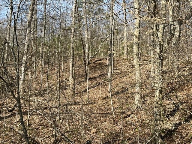 326 Earl Crisp Road Sandy Hook, KY 41171 - Photo 6 of 10