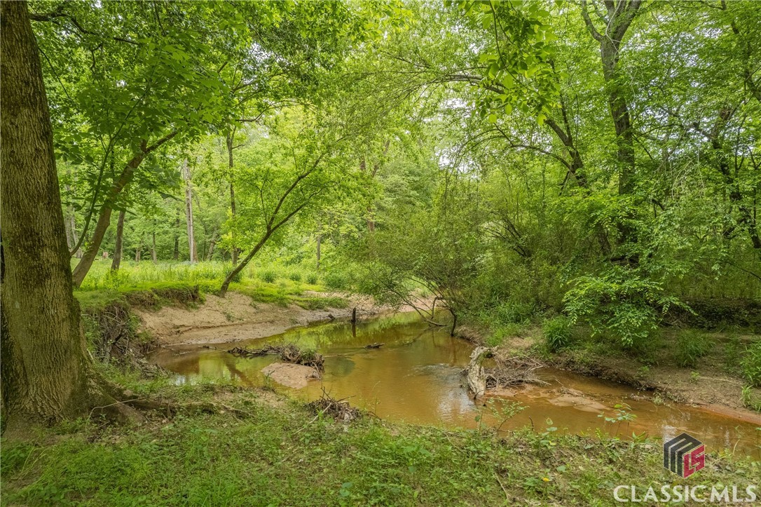 3840 Highway 29 Colbert, GA 30628 - Photo 64 of 75 Gallery Image 64