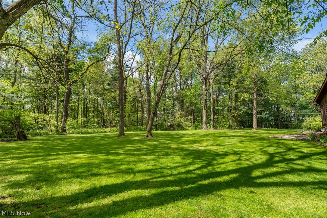 14959 Doylestown Road Doylestown, OH 44230 - Photo 11 of 48