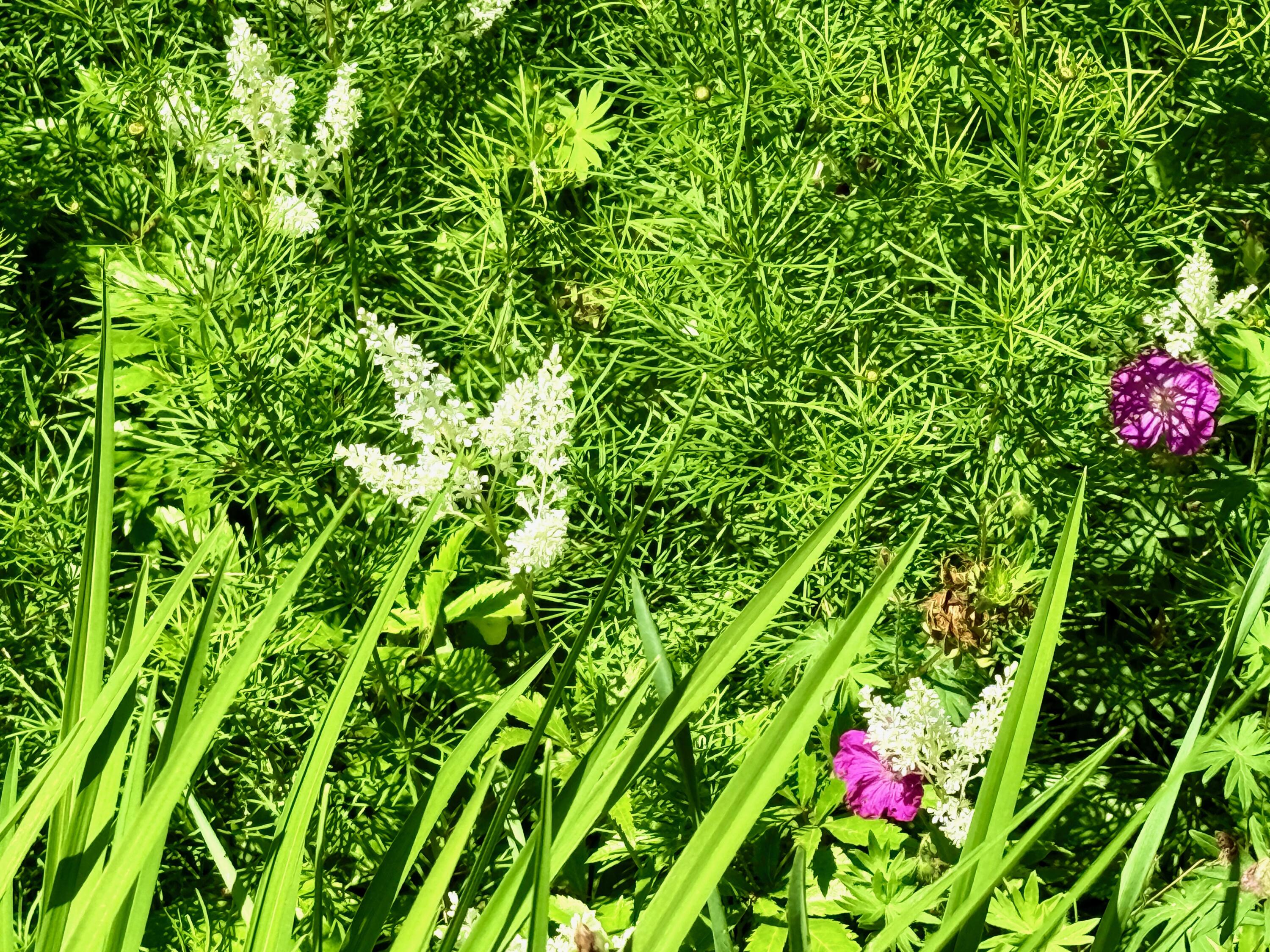 722 Belgrade Road Mount Vernon, ME 04352 - Photo 81 of 119 GARDENS