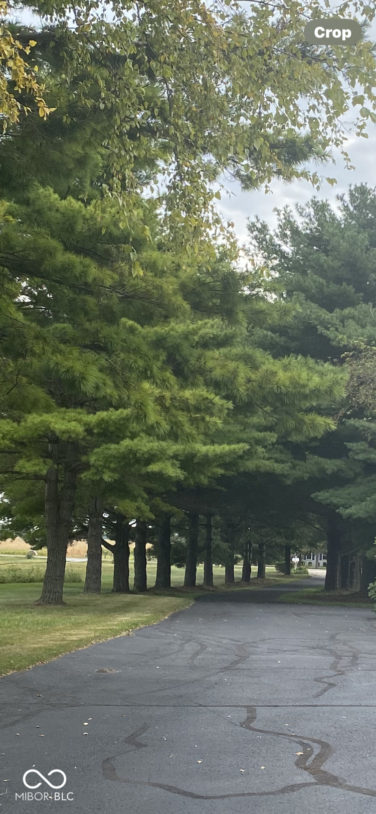 8329 South 300 West Pendleton, IN 46064 - Photo 36 of 44